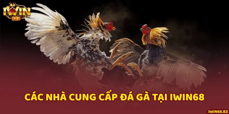 Hai nhà cung cấp dịch vụ đá gà lớn nhất cho nhà cái