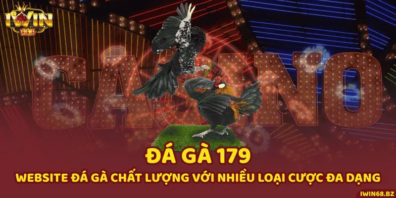 Đá Gà 179 - Website Đá Gà Chất Lượng Với Nhiều Loại Cược Đa Dạng