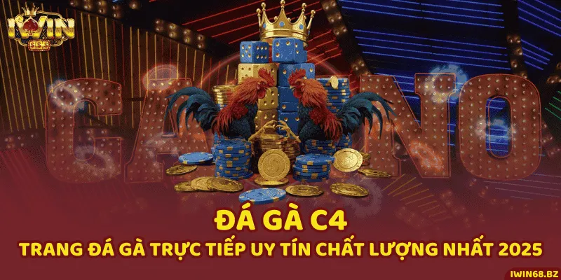 Đá Gà C4 - Trang Đá Gà Trực Tiếp Uy Tín Chất Lượng Nhất 2025
